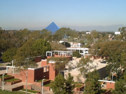 View from MLSC